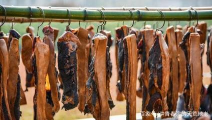 臘肉 致癌還是健康？科學視角下的腌制鹽分析