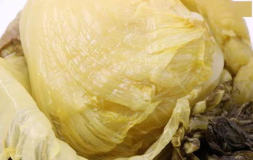 鹽之妙手 揭秘網紅拉面靈魂，酸香麻辣背后的腌制密碼